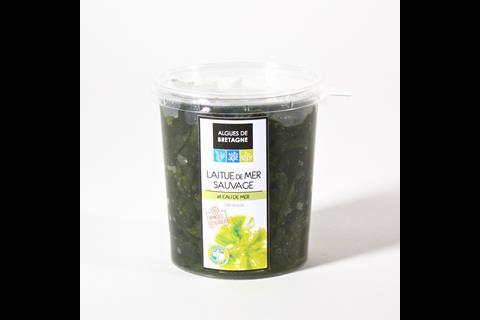 Globe Export's fresh seaweed in seawater